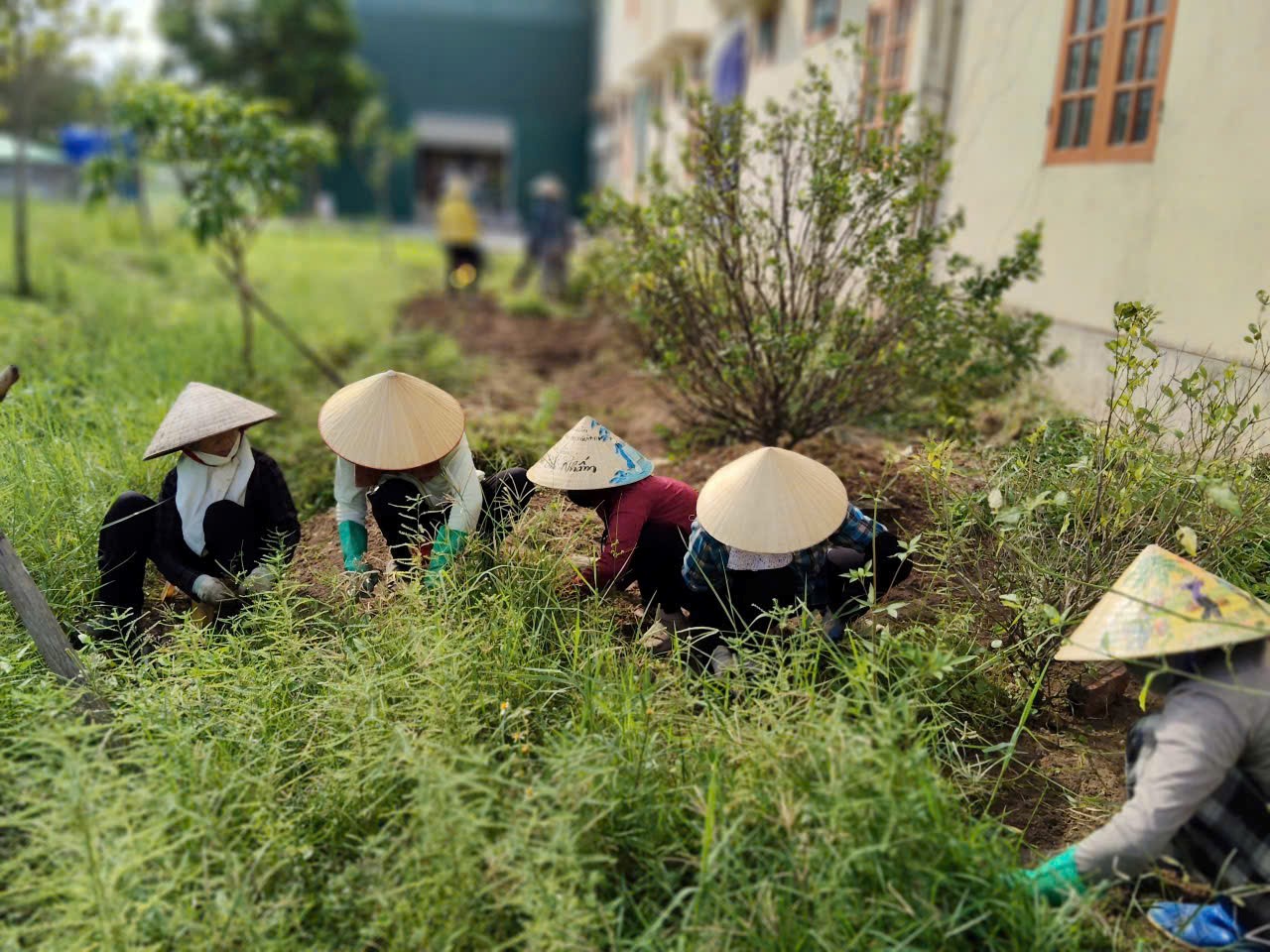 Trường Mầm non Thụy Quỳnh tích cực lao động, vệ sinh môi trường sẵn sàng  chào đón năm học mới năm học 2025–2026